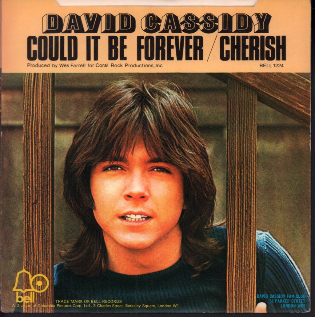 David Cassidy - Could It Be Forever - 7 Inch