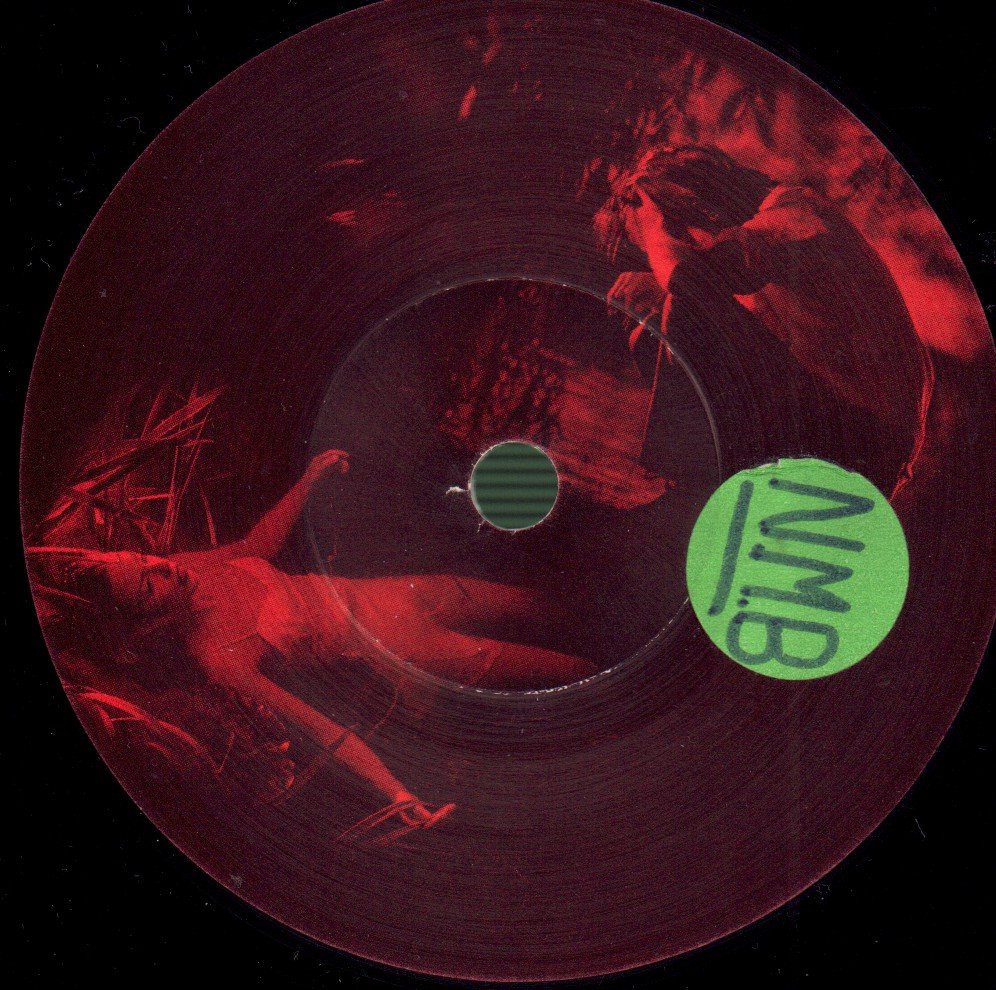 Nick Cave And The Bad Seeds And Kylie Minogue - Where The Wild Roses Grow - 7 Inch