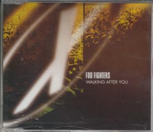 Foo Fighters/Ween - Walking After You/Beacon Light - Cd