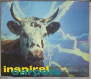 Inspiral Carpets - She Comes In The Fall - Cd