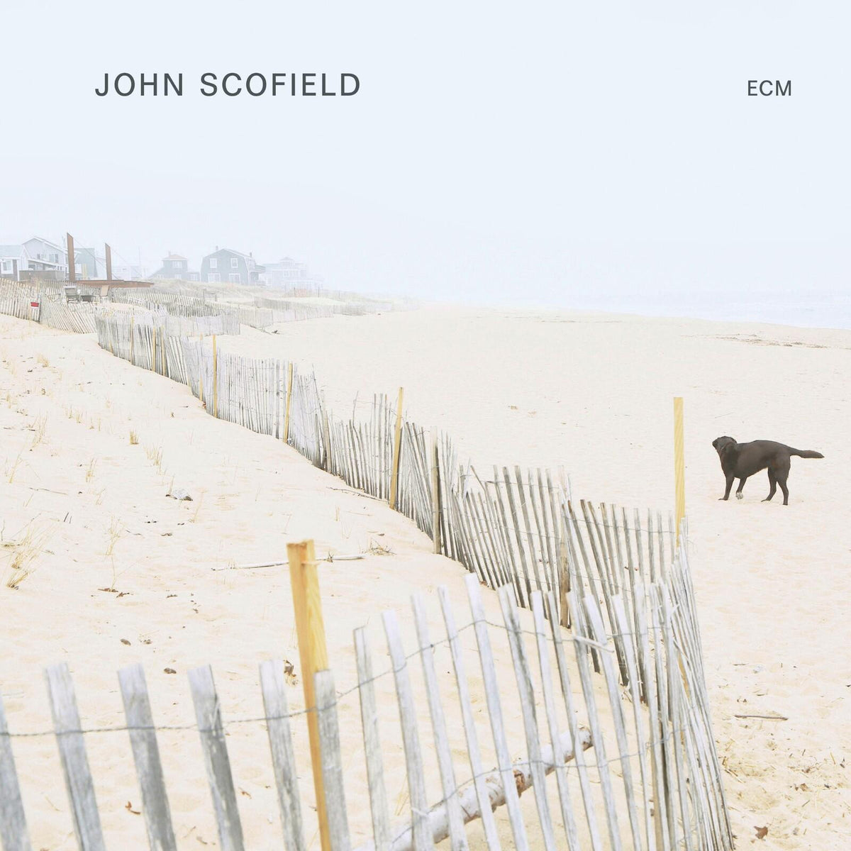 John Scofield - John Scofield - Cd