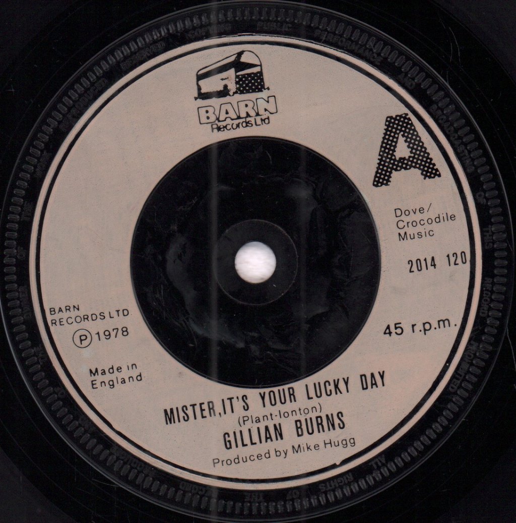 Gillian Burns - Mister It's Your Lucky Day - 7 Inch