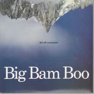 Big Bam Boo - Fell Off A Mountain - 7 Inch