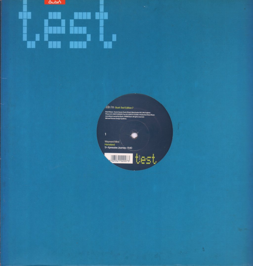 Wayward Mind - Homeland - 12 Inch