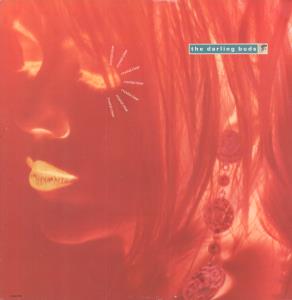 Darling Buds - Crystal Clear - 12 Inch