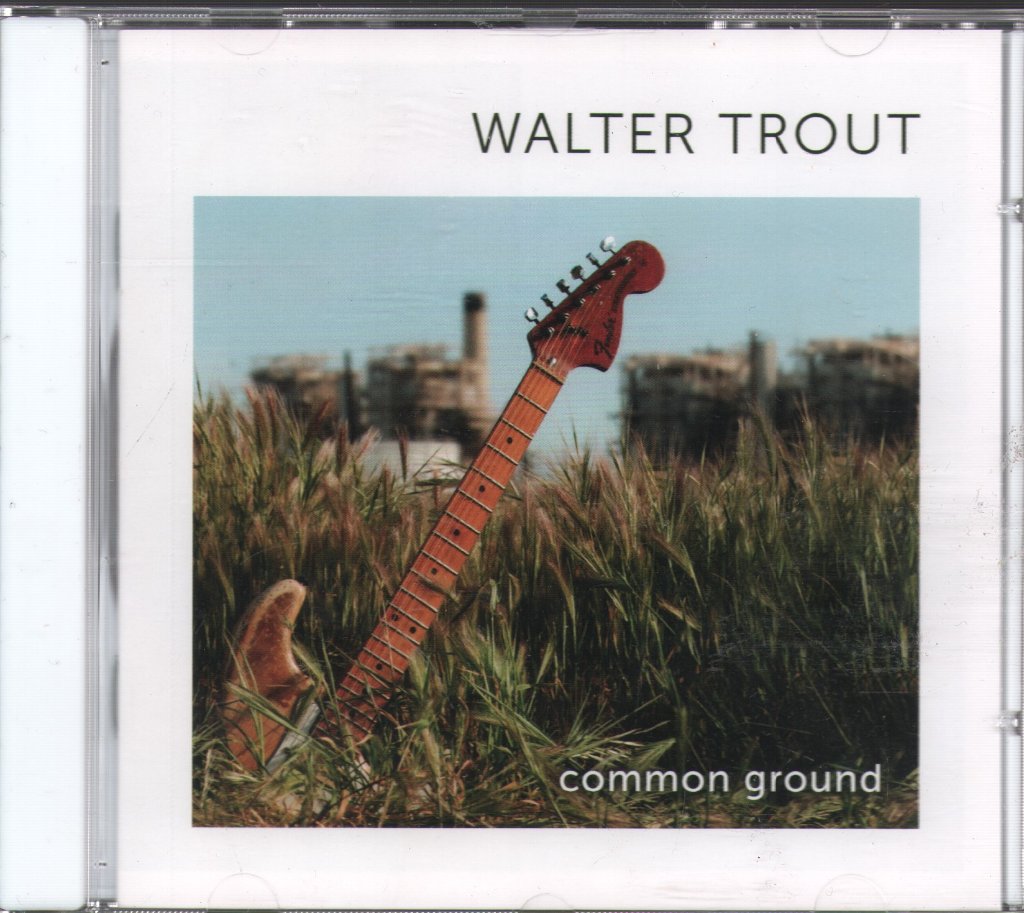 Walter Trout - Common Ground - Cd