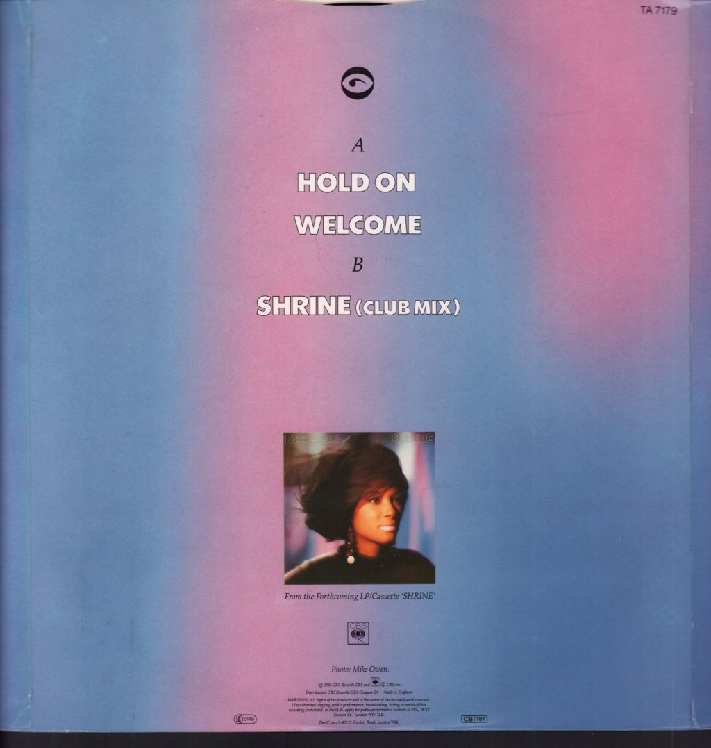 Dee.C.Lee - Hold On - 12 Inch