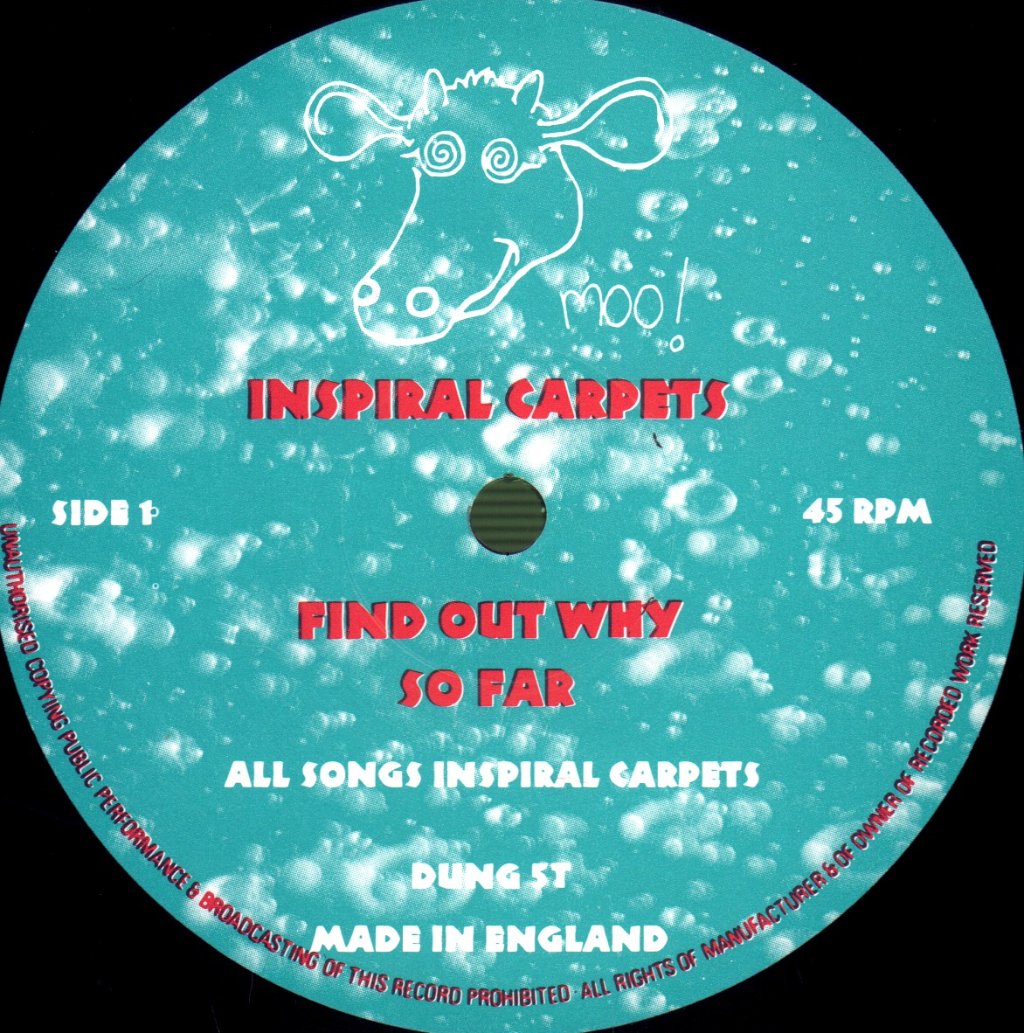 Inspiral Carpets - Find Out Why - 12 Inch