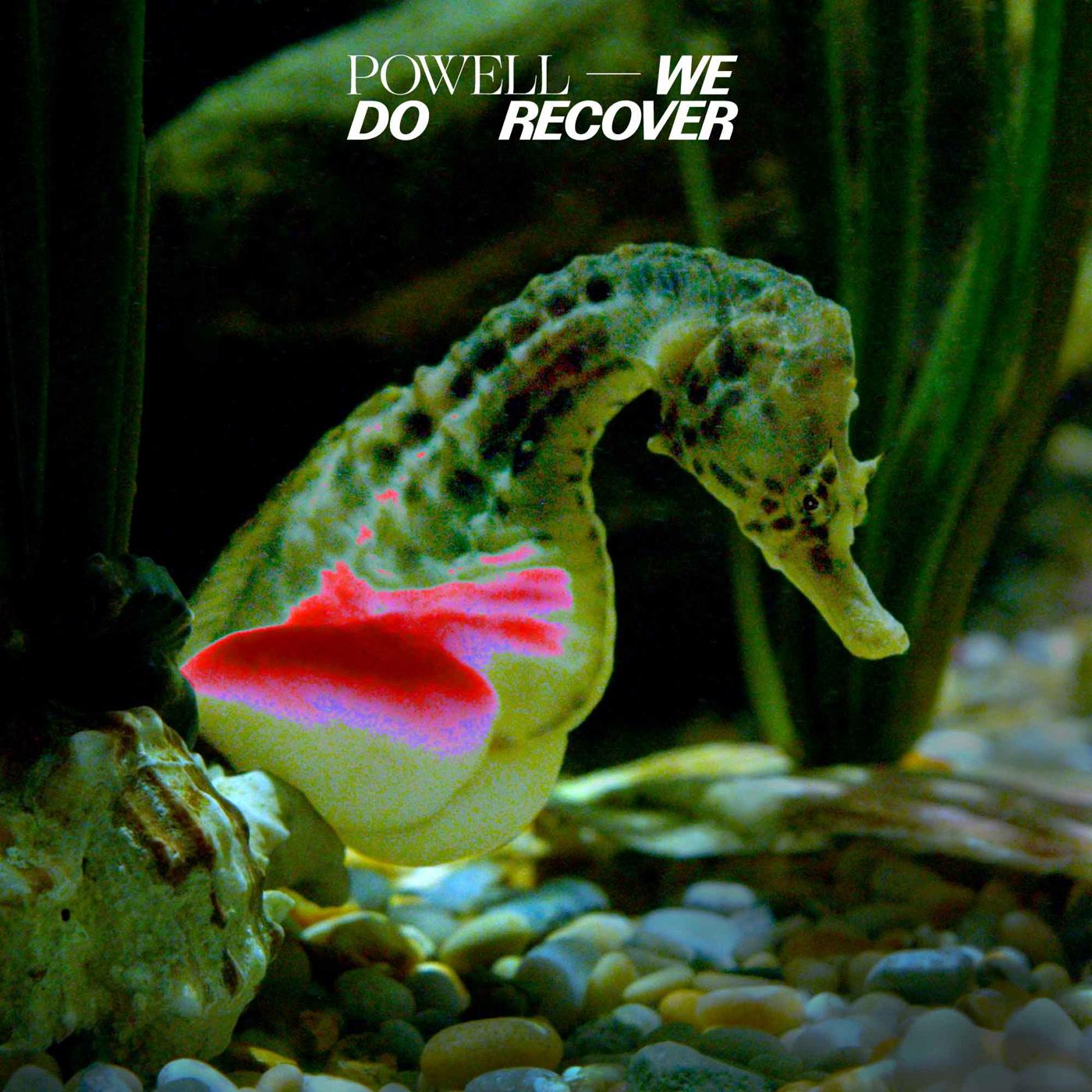 Powell - We Do Recover - Double Lp