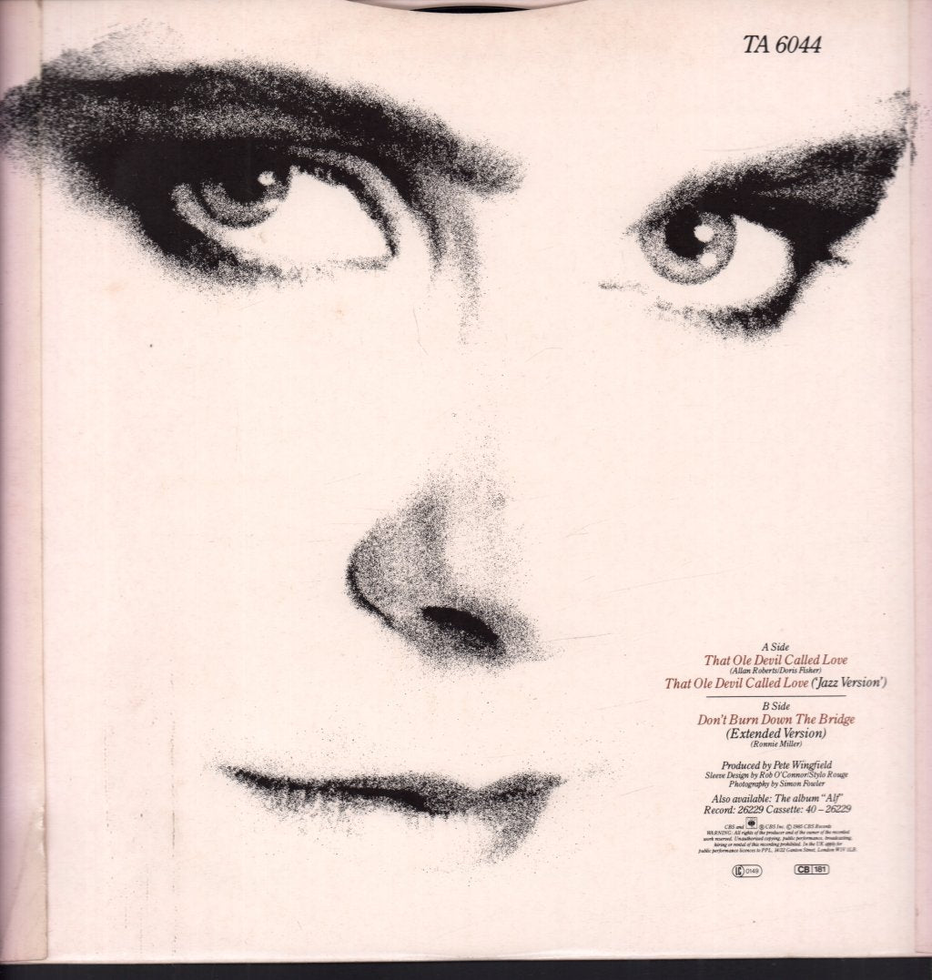 Alison Moyet - That Ole Devil Called Love - 12 Inch