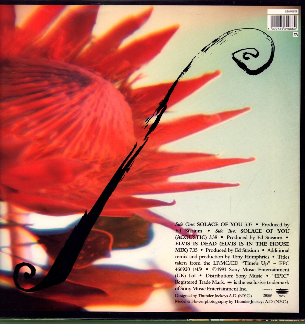 Living Colour - Solace Of You - 12 Inch