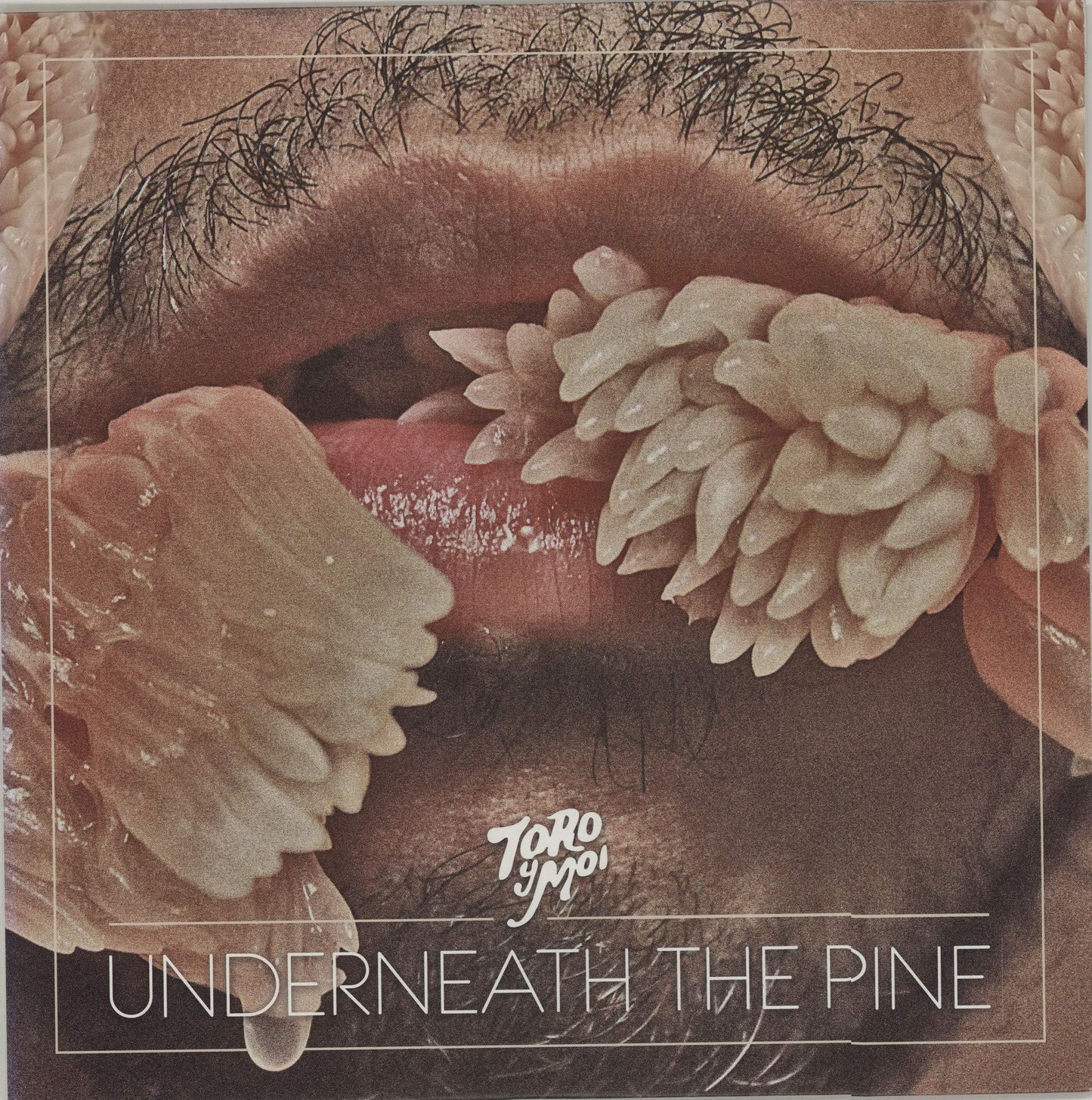 Toro Y Moi - Underneath the Pine - Lp