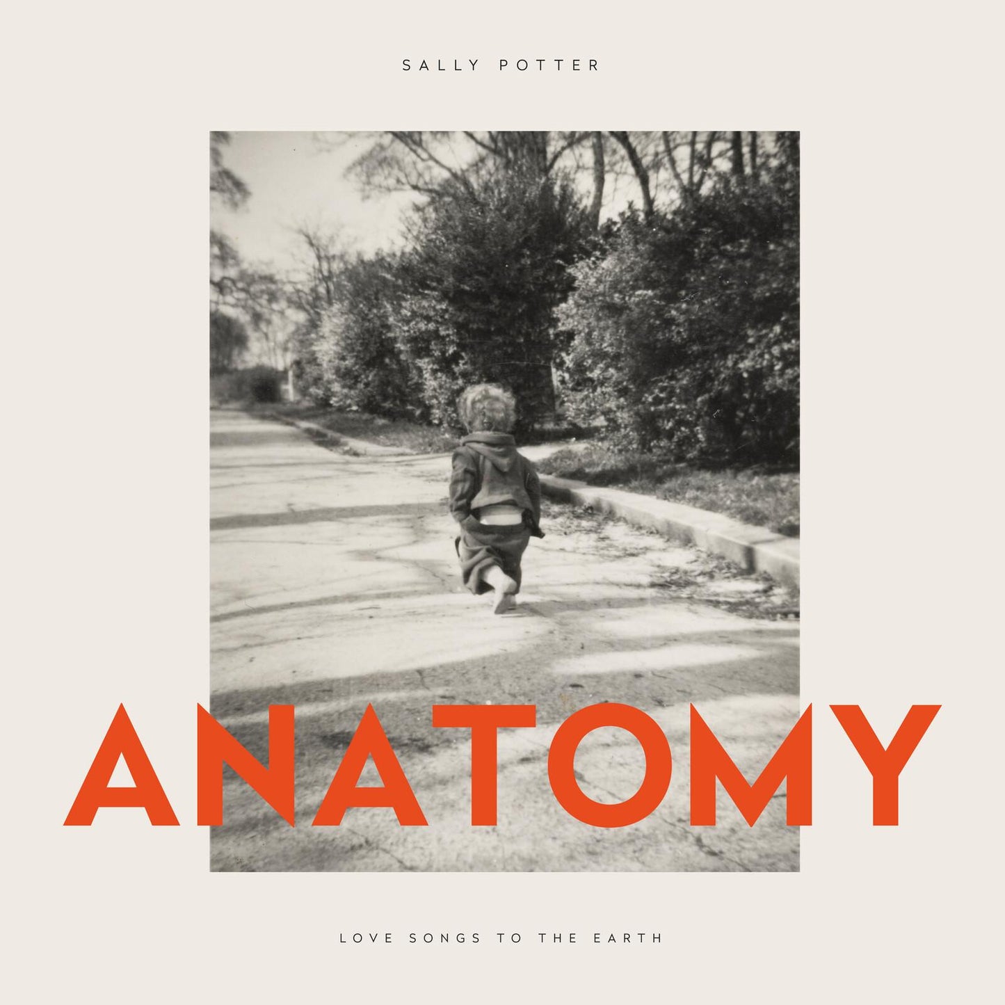 Sally Potter - Anatomy - Lp