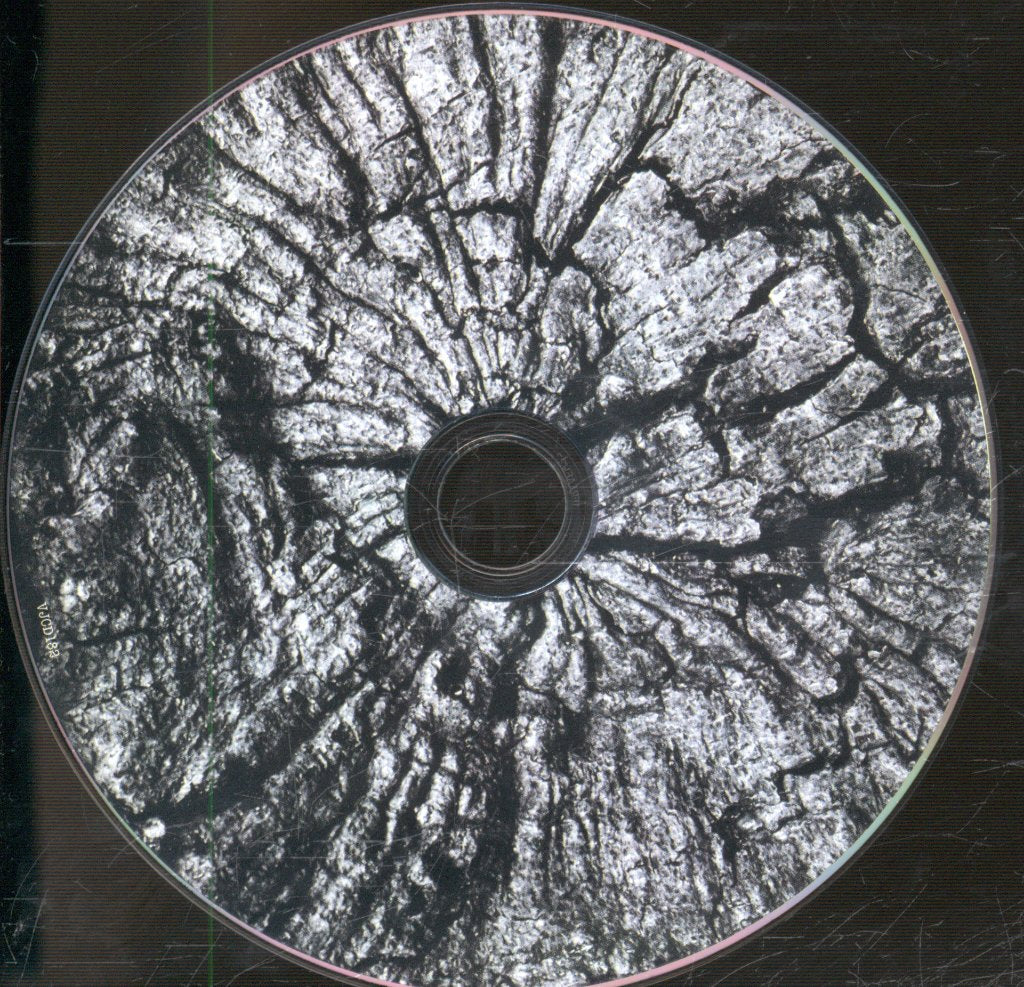 Mr David Viner - Among The Rumours And The Rye - Cd
