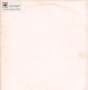 Perfect Zebras - Mixing With Wildlife - 12 Inch