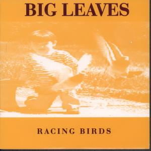 Big Leaves - Racing Birds - 7 Inch