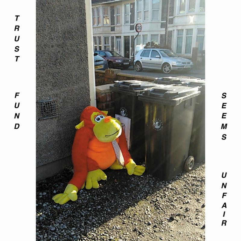 Trust Fund - Seems Unfair - Lp