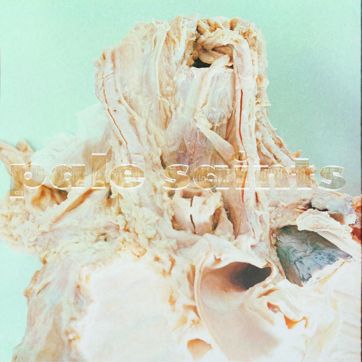 Pale Saints - In Ribbons - Double Cd