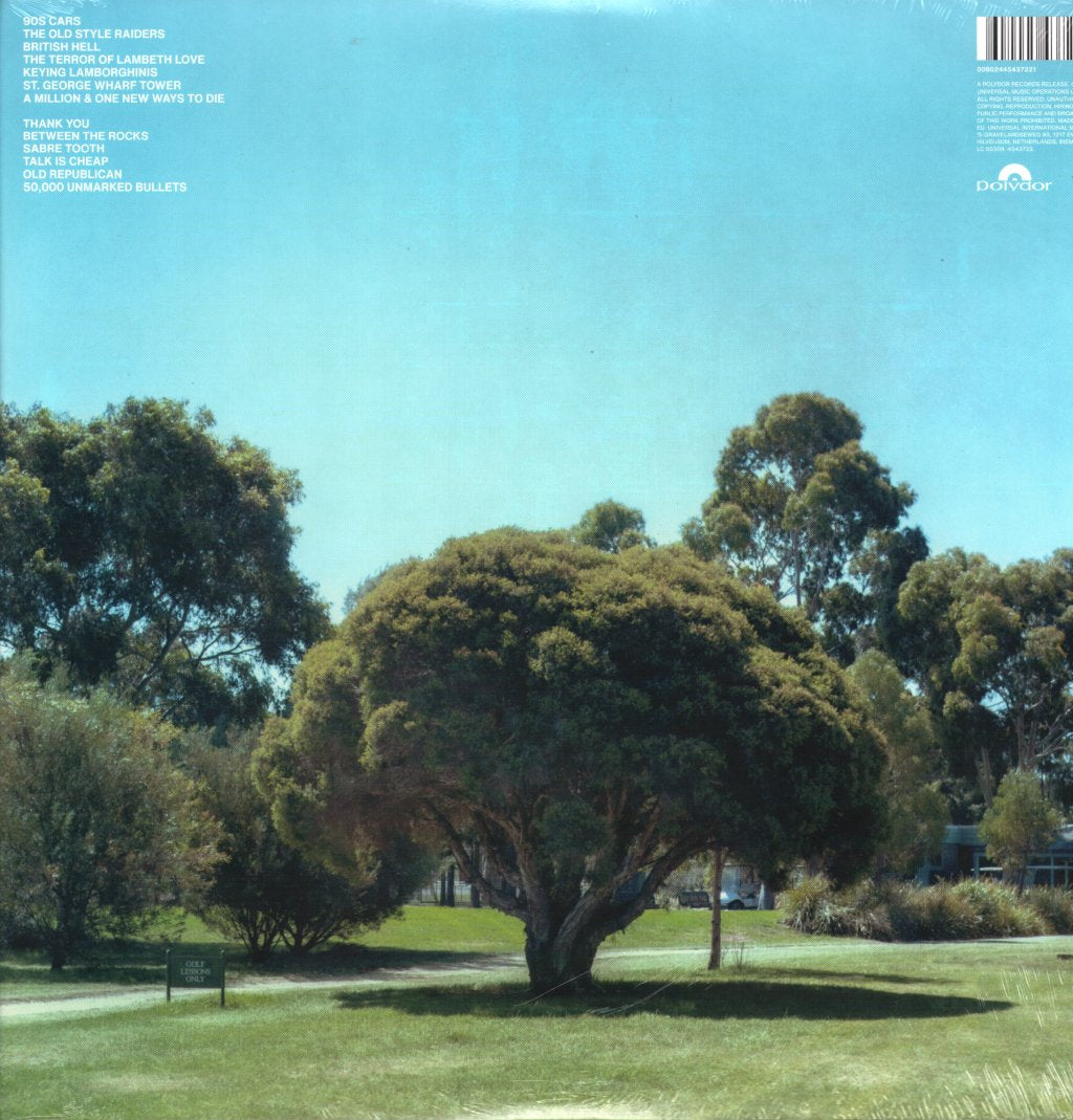 Jamie T - Theory of Whatever - Lp