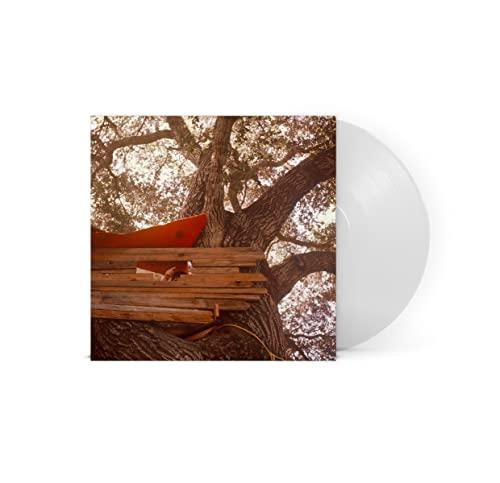 Backseat Lovers - Waiting To Spill - Lp