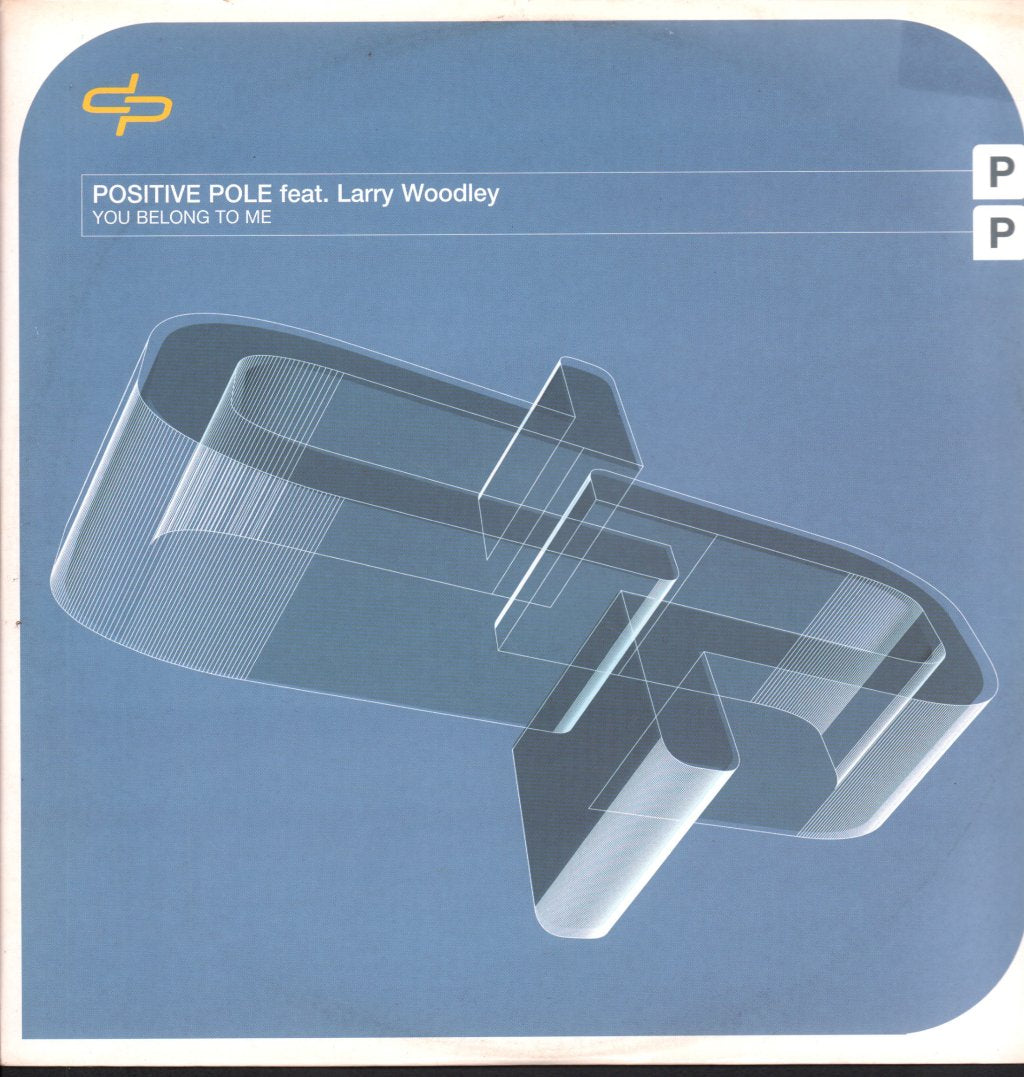 positive pole feat. larry woodley - You Belong To Me - 12 Inch
