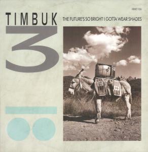 Timbuk 3 - Future's So Bright I Gotta Wear Shades - 12 Inch