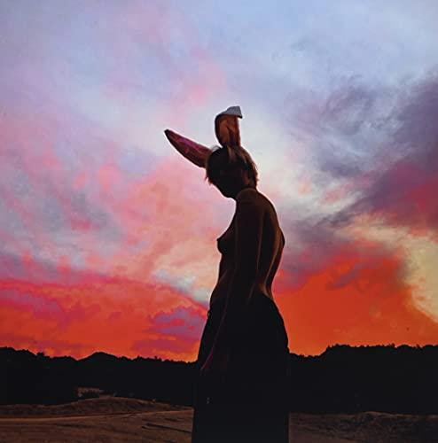 Biig Piig - Sky Is Bleeding - 12 Inch