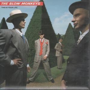 Blow Monkeys - This Is Your Life - 7 Inch