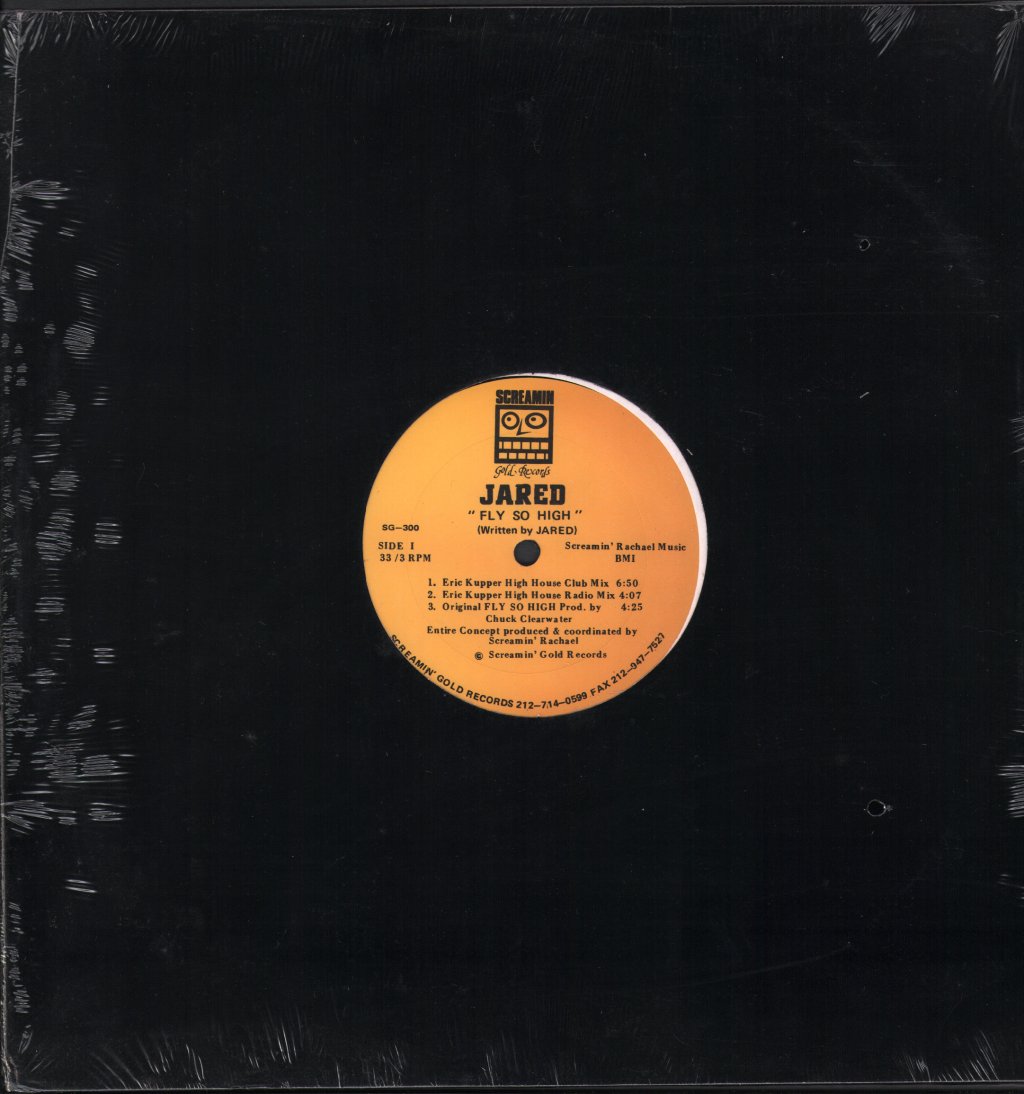 Jared - Fly So High - 12 Inch