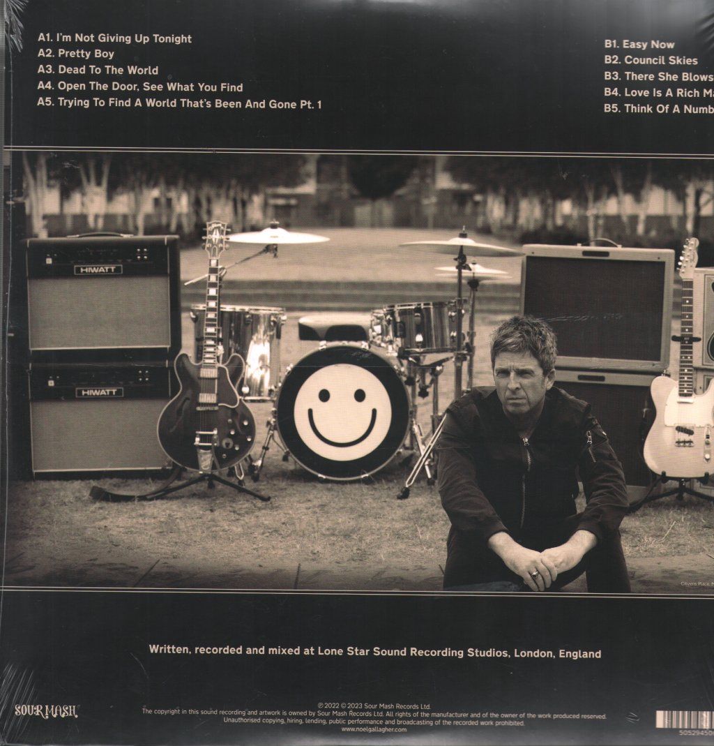 Noel Gallagher's High Flying Birds - Council Skies - Lp