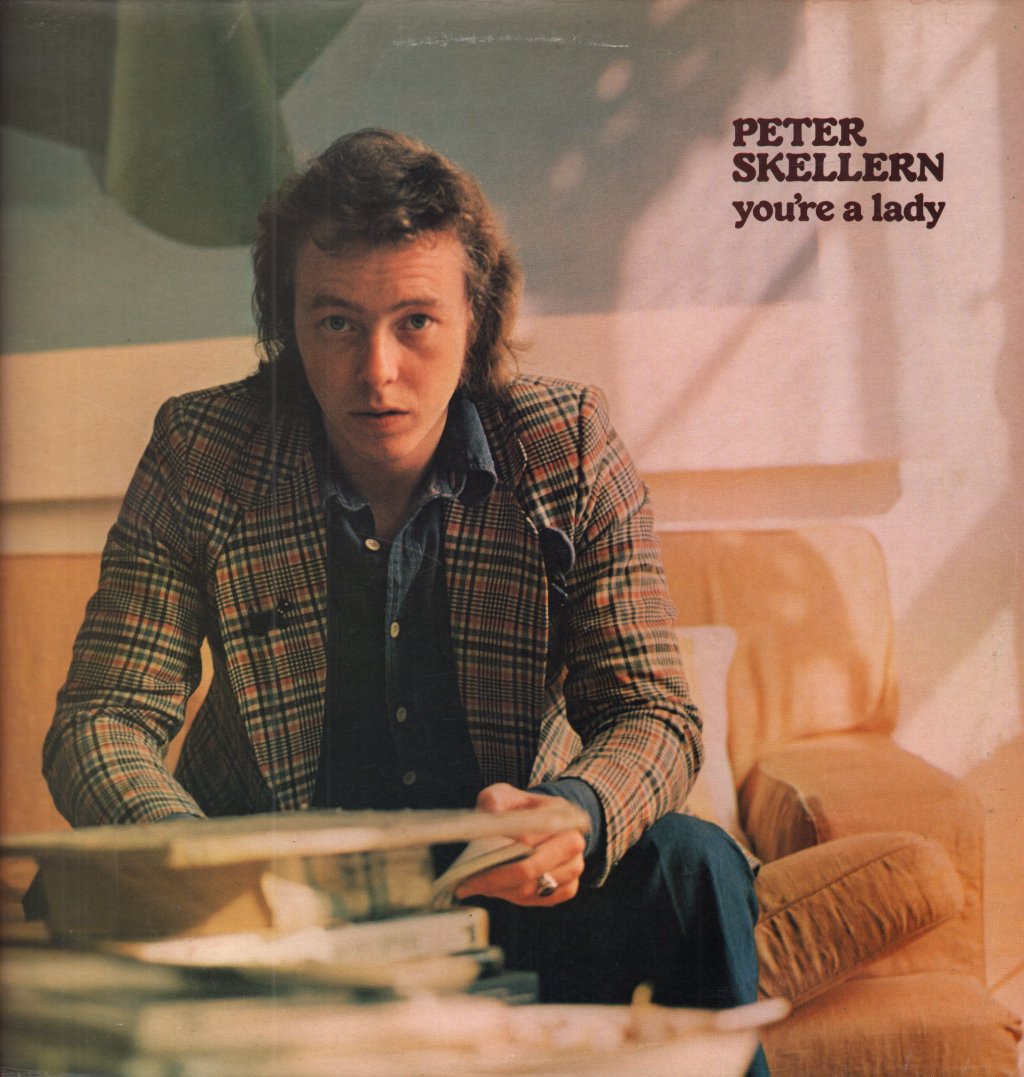 Peter Skellern - You're A Lady - Lp
