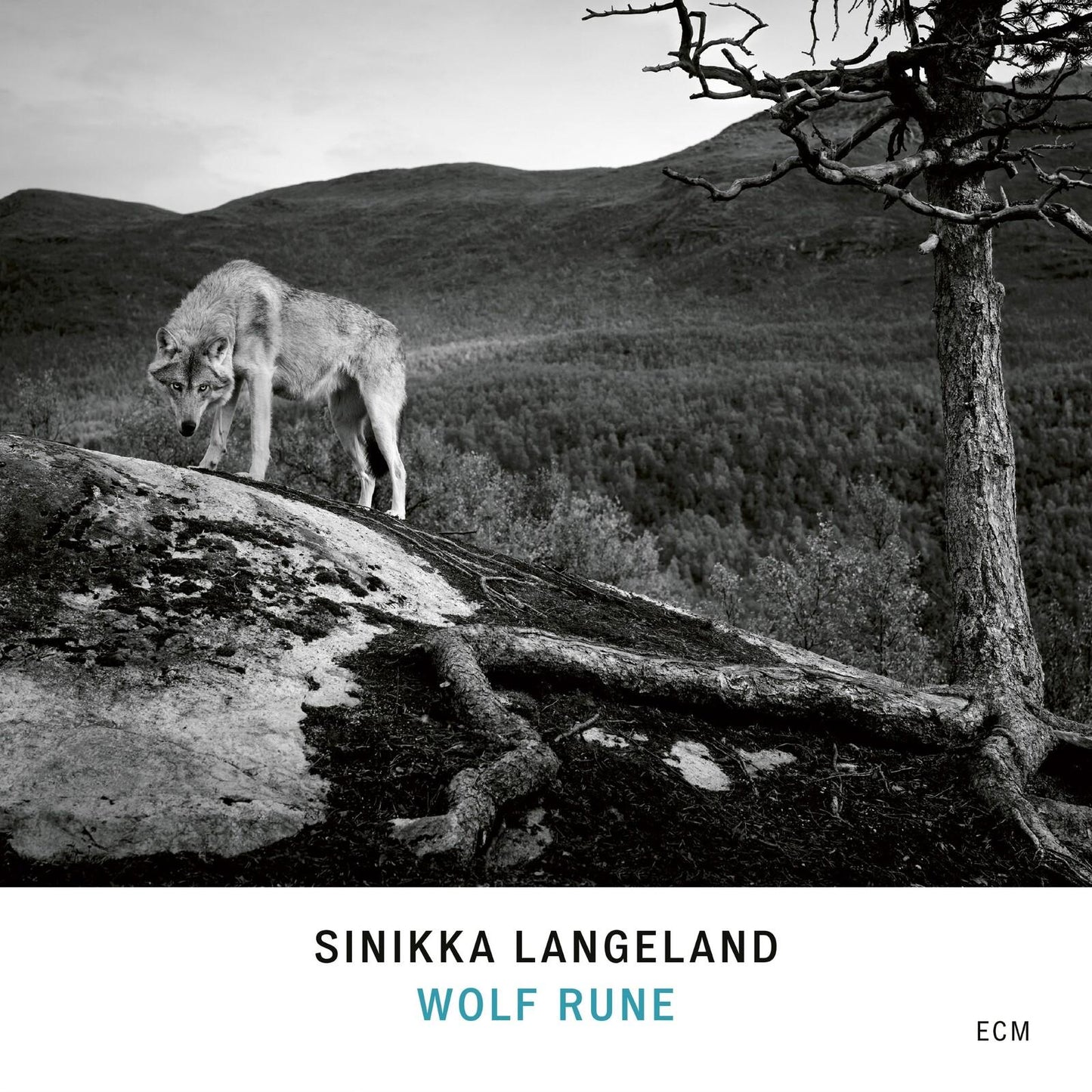 Sinikka Langeland - Wolf Rune - Cd