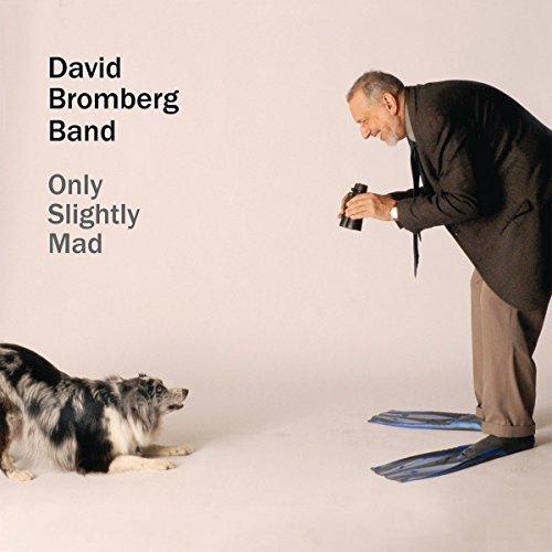 David Bromberg Band - Only Slightly Mad - Cd