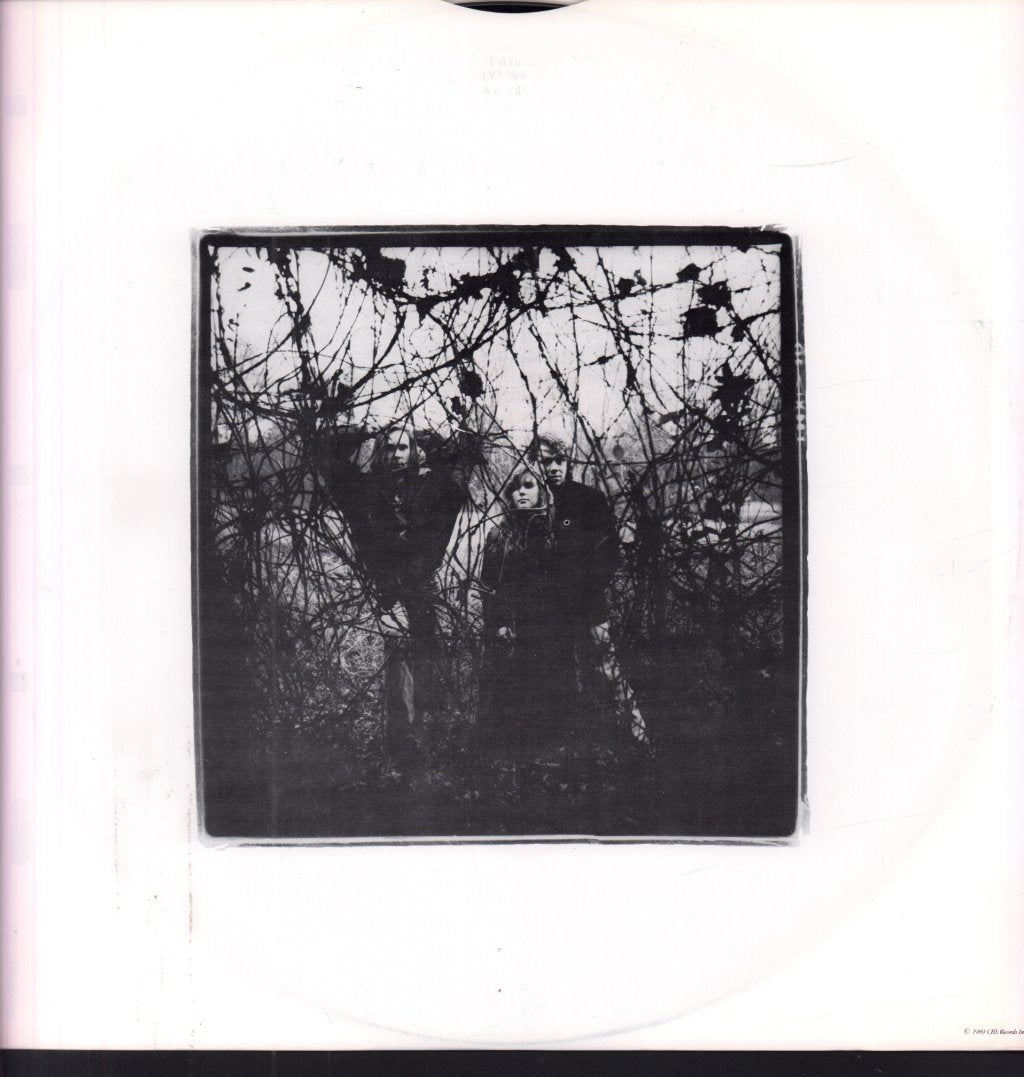 Rain People - Rain People - Lp