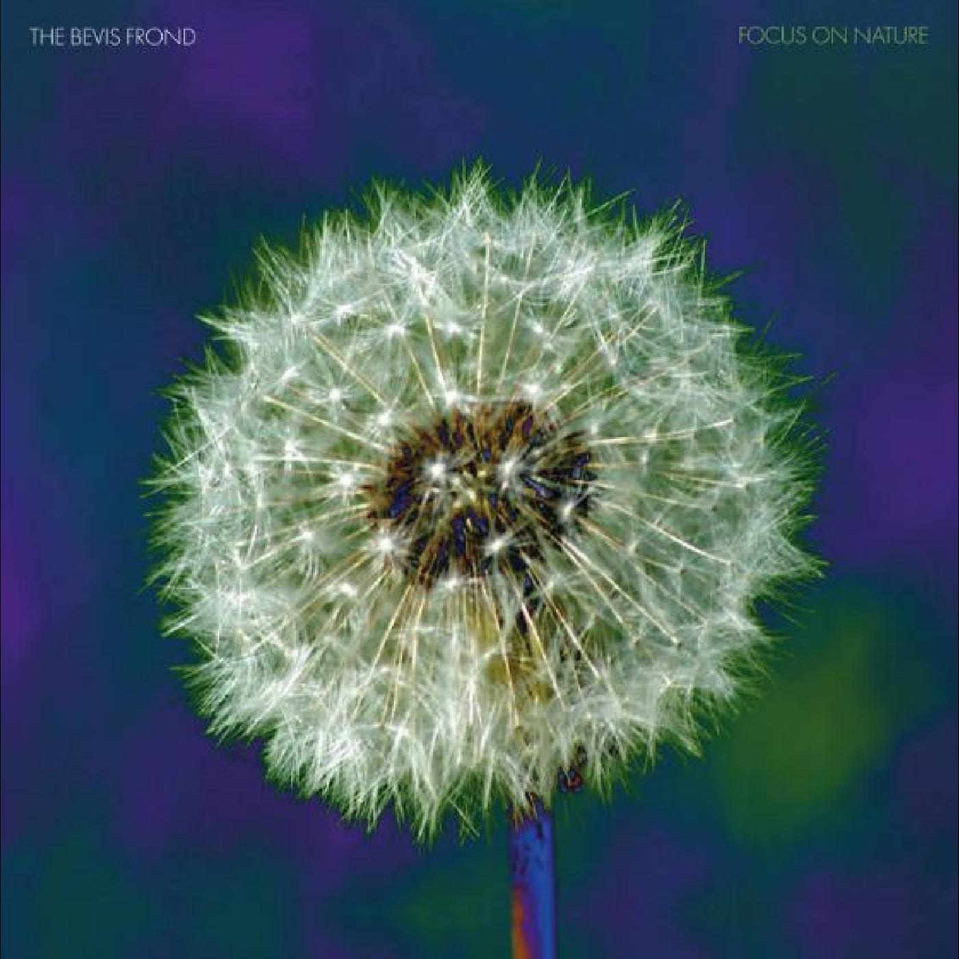 Bevis Frond - Focus On Nature - Double Lp
