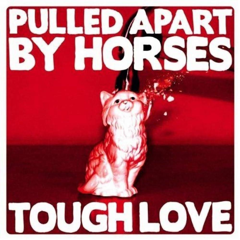 Pulled Apart By Horses - Tough Love - Cd