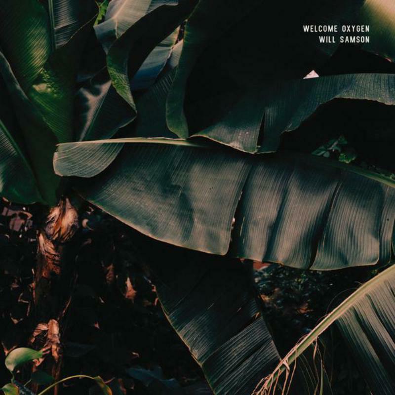 Will Samson - Welcome Oxygen - 12 Inch