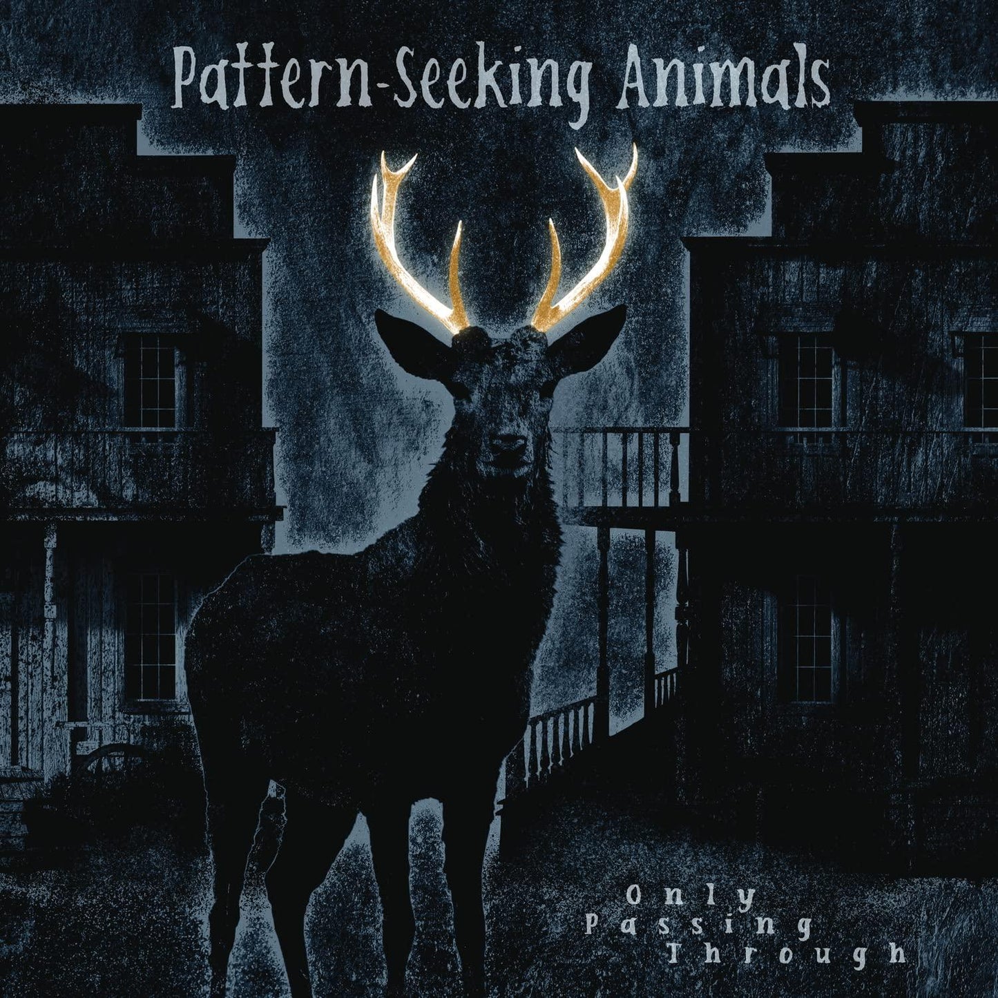Pattern-Seeking Animals - Only Passing Through - Cd