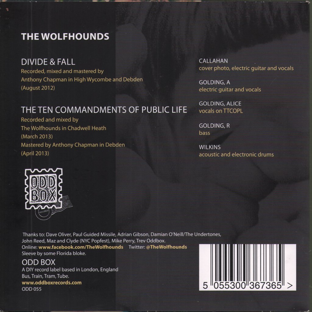 Wolfhounds - Divide & Fall - 7 Inch