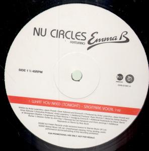 Nu Circles Featuring Emma B - What You Need - 12 Inch