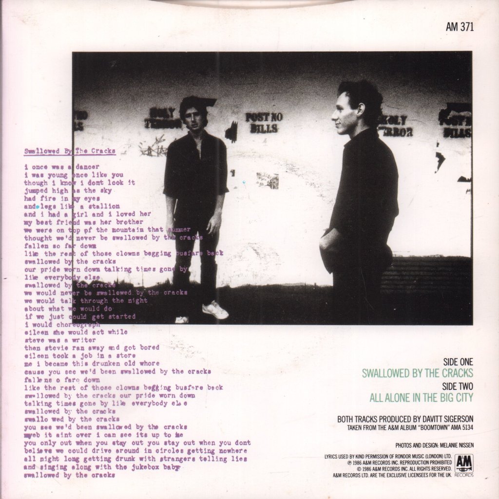 David And David - Swallowed By The Cracks - 7 Inch