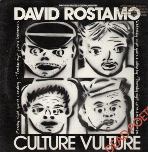 David Rostamo - Culture Vulture - 12 Inch