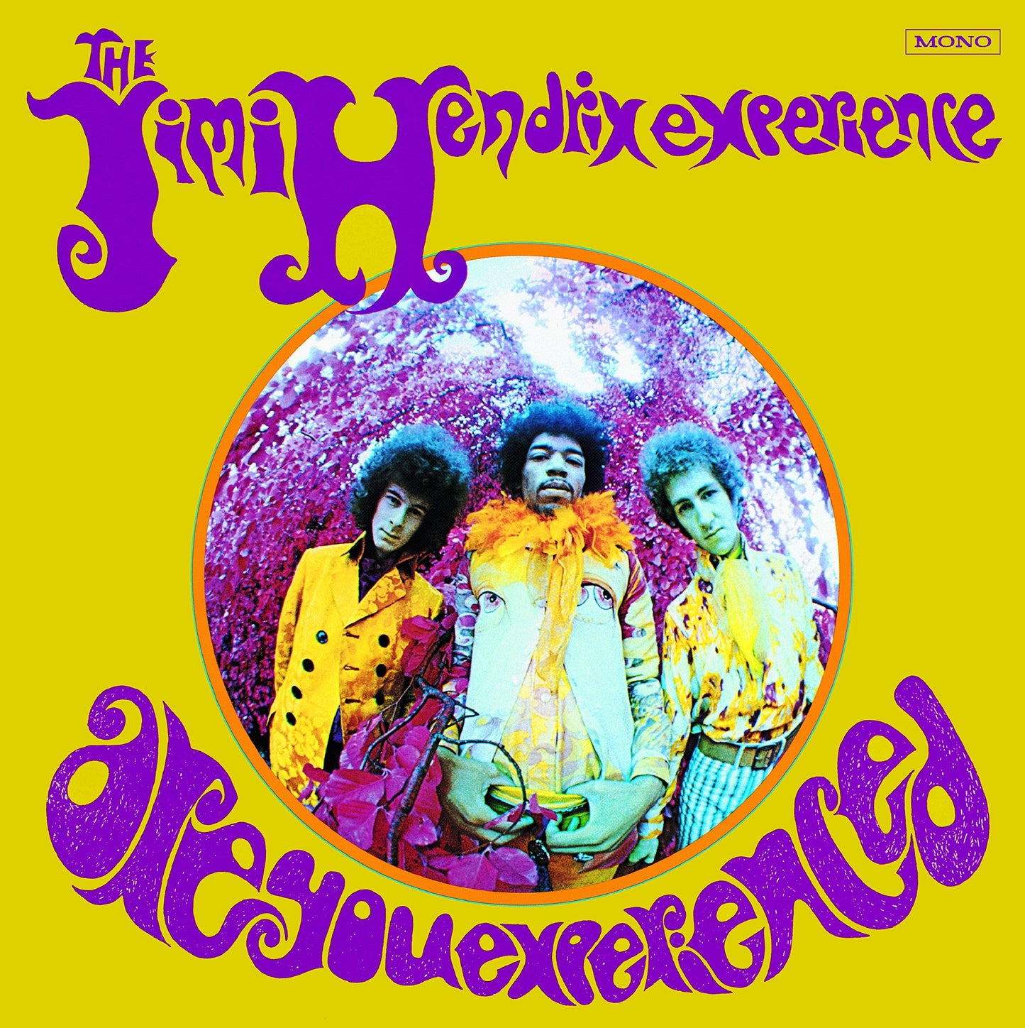 Jimi Hendrix Experience - Are You Experienced - Lp