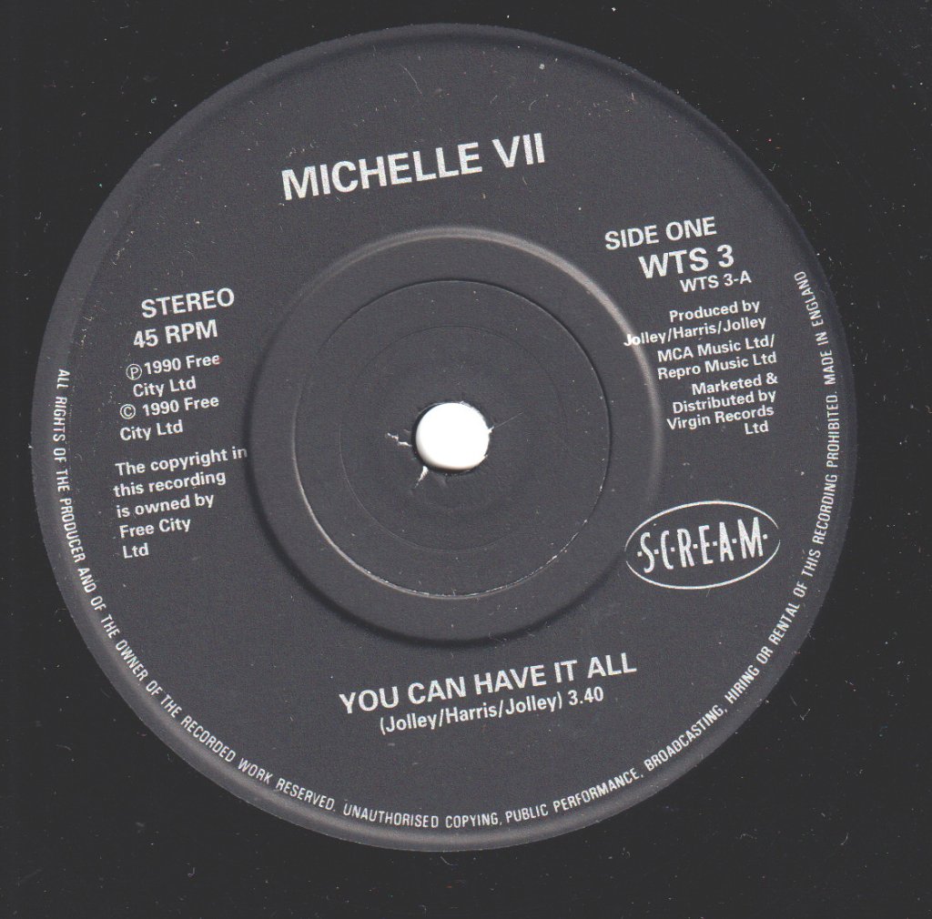 Michelle Vii - You Can Have It All - 7 Inch