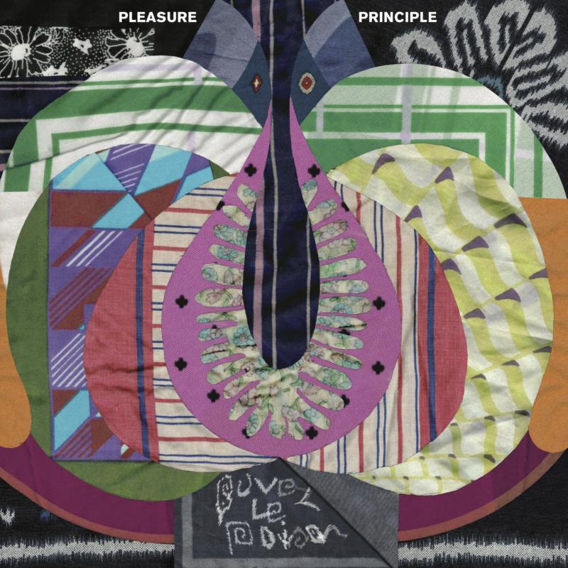 Pleasure Principle - Buvez Len Poison - Lp