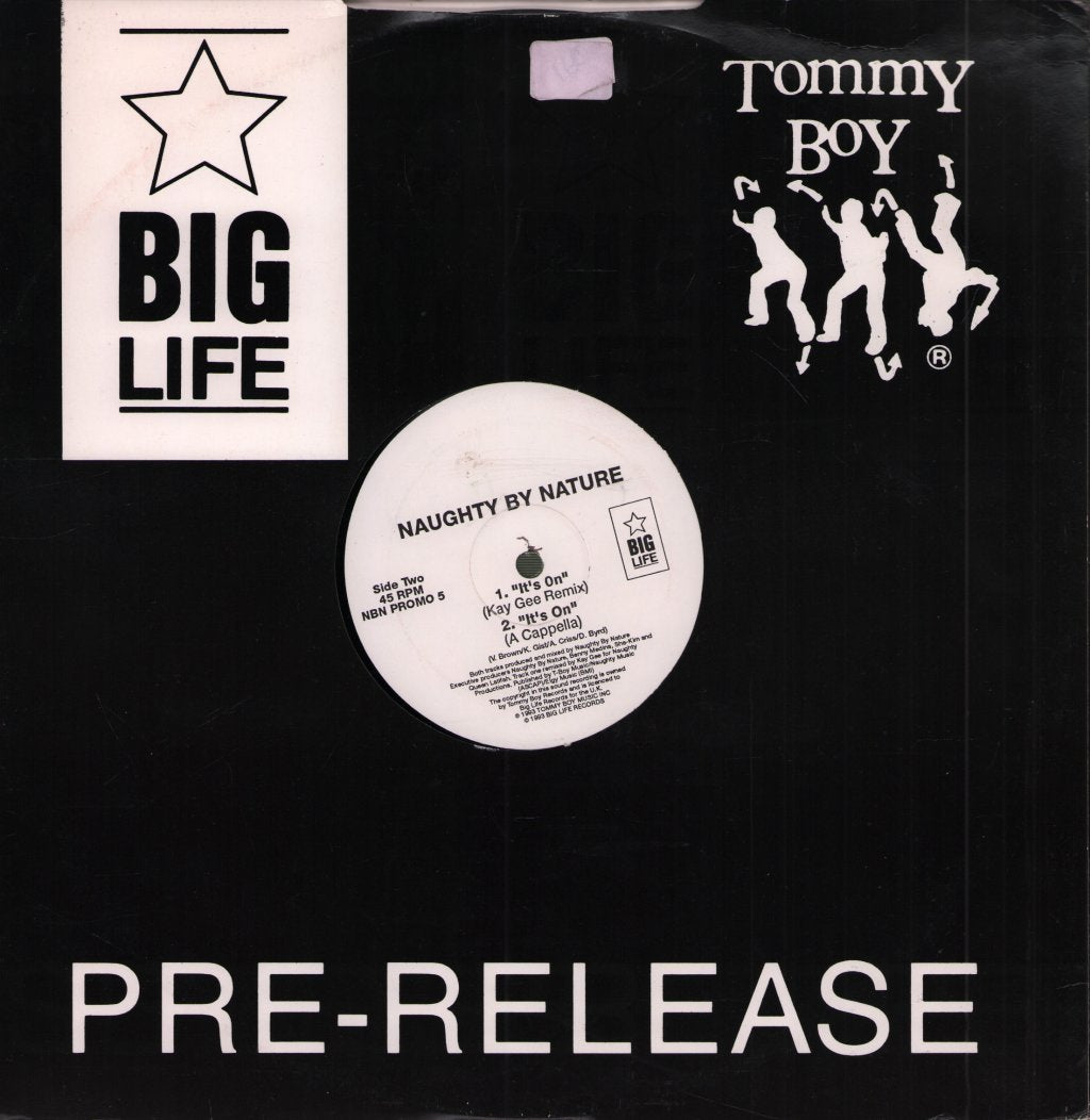 Naughty By Nature - It's On - 12 Inch