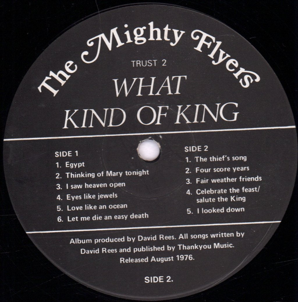 Mighty Flyers - What Kind Of Living - Lp
