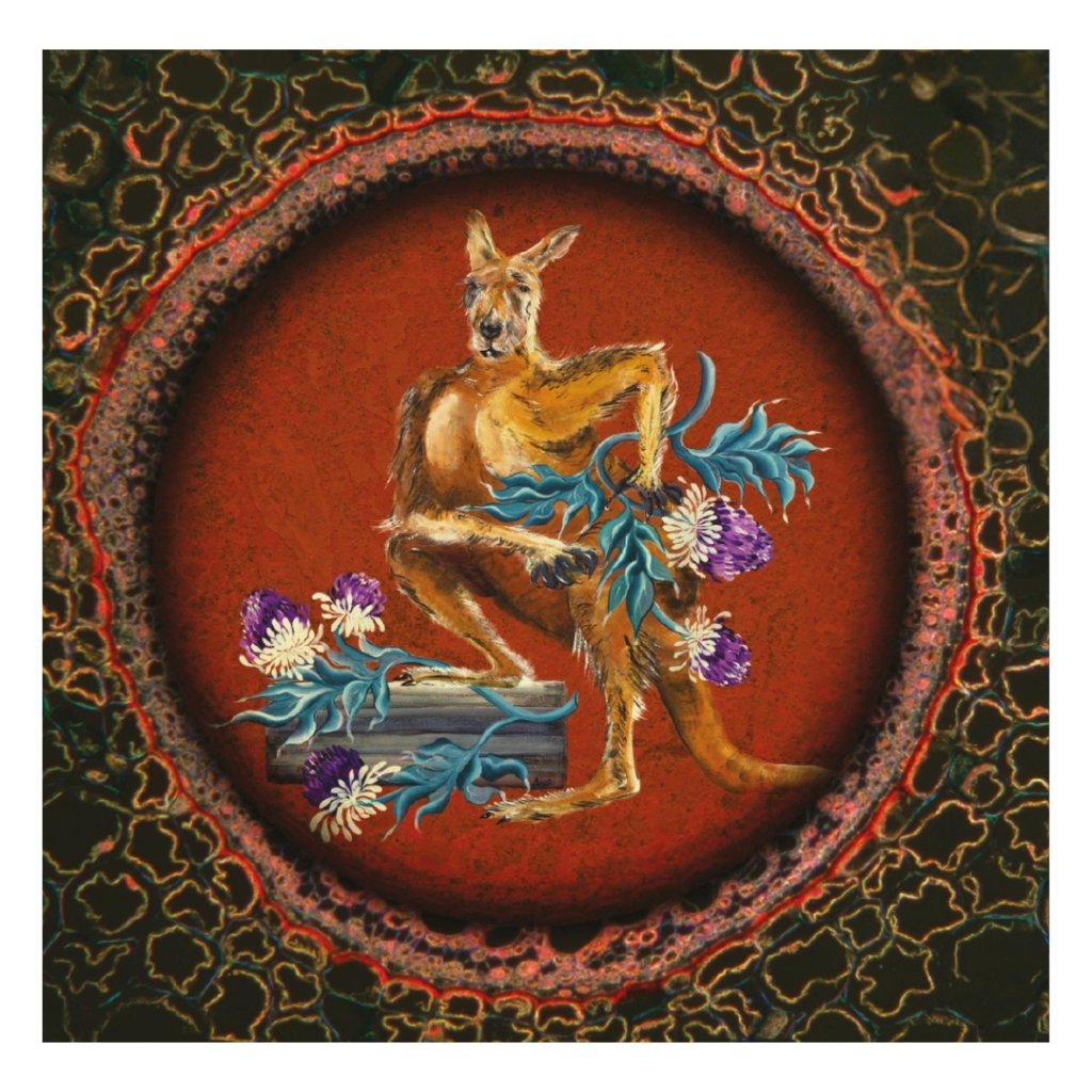 Cardiacs - LSD - Double Cd