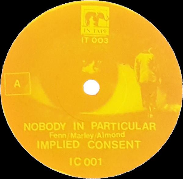 Implied Consent - Nobody In Particular - 7 Inch