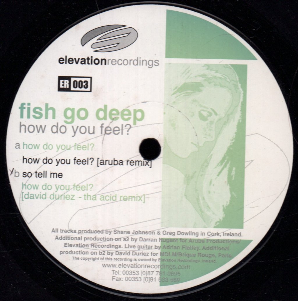 Fish Go Deep - How Do You Feel? - 12 Inch